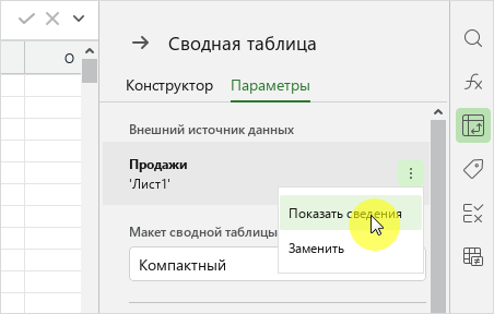 pivot_table_panel_source_ext_details